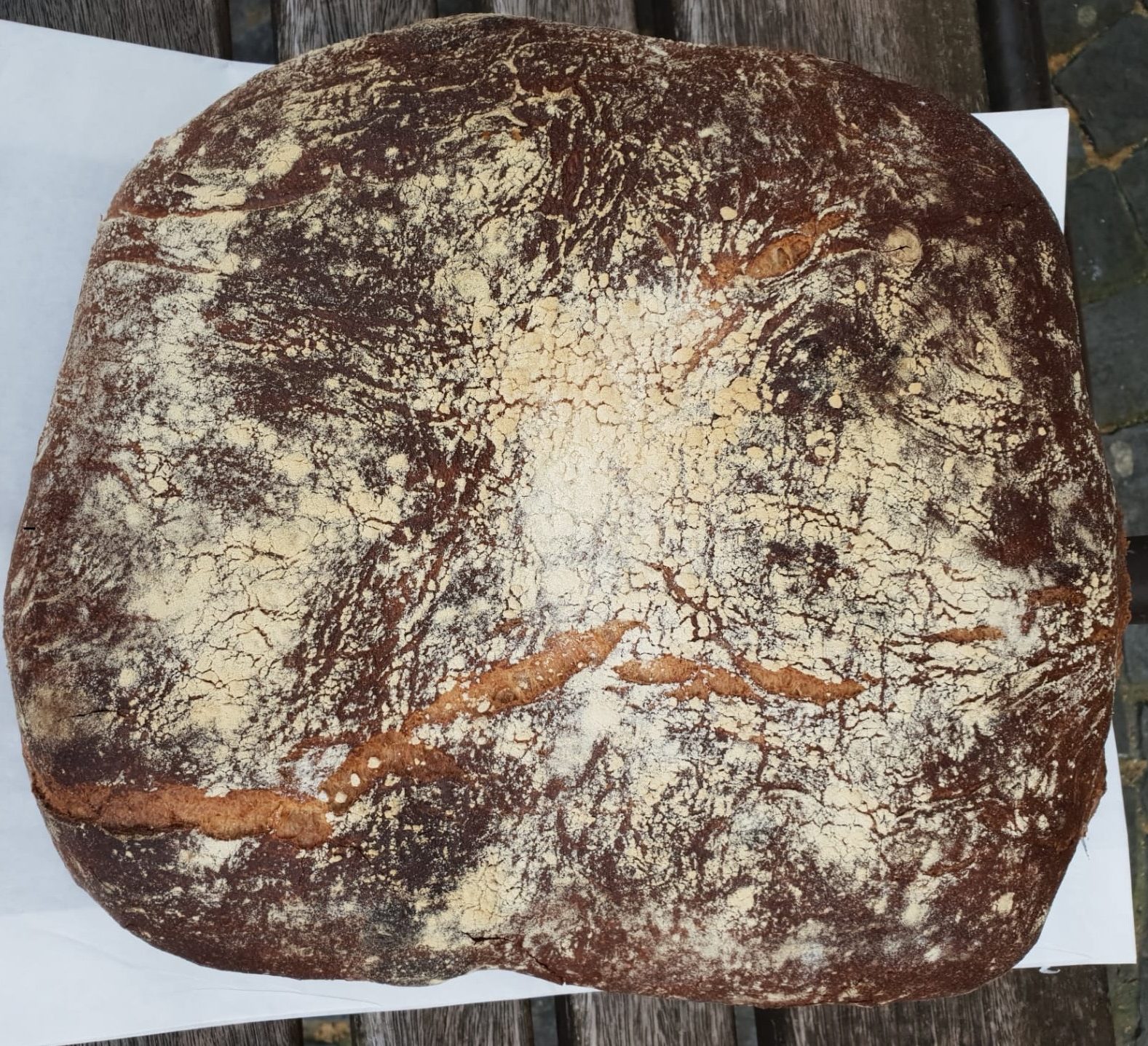 bio levain carré réduit